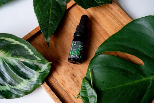 Premium CBD oil bottle from Netherleafs, surrounded by lush greenery